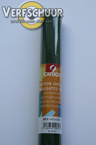 Canson golfcarton flesgroen 300g 0.5x0.7m C200992617