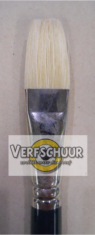 W&N. "WINTON" BRUSH LONG FLAT No 12 varkenshaar 5974712