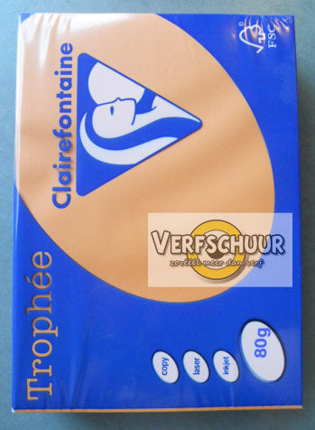 Clairefontaine Trophée A4 80gr 500v clementine