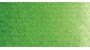 HORADAM AQUARELL 5ml vert de vessie serie:2 14530001