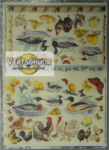 Decoupeerpapier 40gr 50x70 Gevogelte 384.002-70